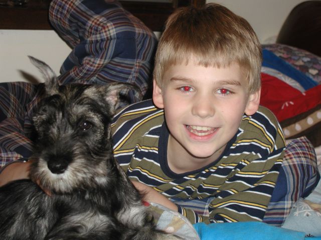 puppies