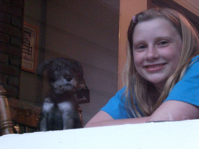 puppies